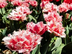 -玄武湖景区-情侣园游乐场