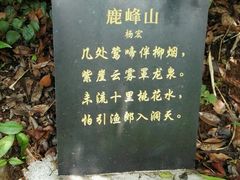 -鹿峰山景区