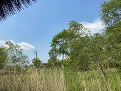 -苏州太湖国家湿地公园