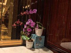 -南景饭店(万家丽路店)