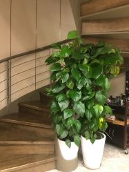 -专业烫发染发接发