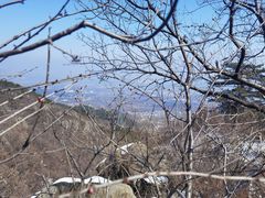 -阳台山自然风景区