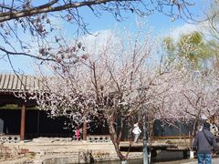 -三里河公园