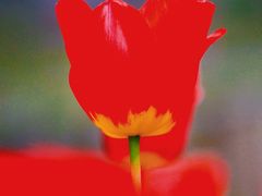 -哈尔滨文化公园