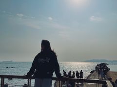 -八大关景区