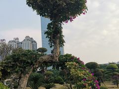 -南宁南湖公园