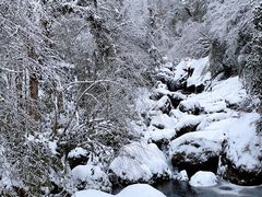 -龙苍沟森林公园