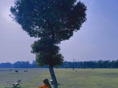 -山明水秀大饭店