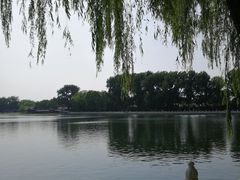 -后海公园
