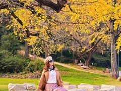 -千年银杏谷文化旅游区