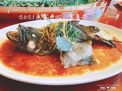 -新金盛·海鲜酒楼(盐田店)