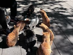 -晓港公园