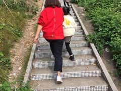 -百万葵园