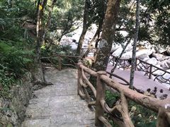 -海南热带雨林国家公园吊罗山景区