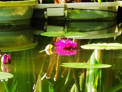 -国家植物园南园