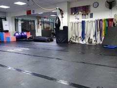 -金翼跆拳道巴西柔术拳击格斗学院