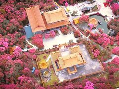 -东莞观音山旅游风景区