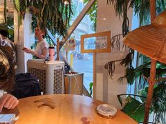 -野草莓自由市场