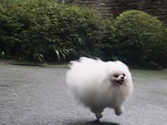 -中铁花水湾温泉酒店(大邑店)