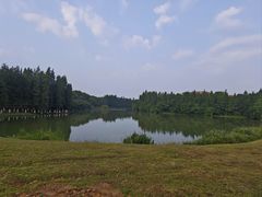 -艾溪湖湿地公园