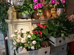 -春暖花开(西溪店)