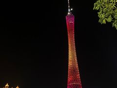 -珠江夜游广州塔·中大码头