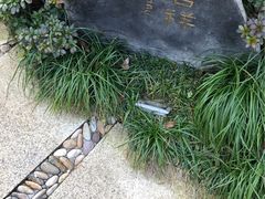 -苏州湾王焰温泉度假酒店