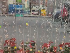 -四海蒸鲜蒸汽海鲜自助(北戴河店)