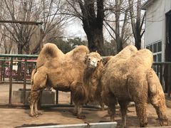 -祥源·阜阳生态乐园