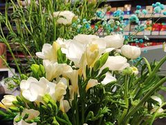 -FEI FEI FLOWER鲜花店·气球派对·宝宝宴布置(虹口德必运动Loft店)