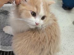 -瑞派康怡24h宠物医院·犬猫医疗中心·微创绝育(瑞景分院)