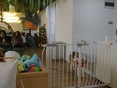 -Husky Go! 哈士奇体验馆·宠物咖啡厅狗咖