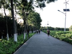 -大兴滨河森林公园