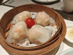 -新兴·金羊座·粤菜点心(乐峰店)