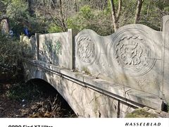 -杭州半山国家森林公园