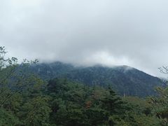 -牛背梁国家森林公园