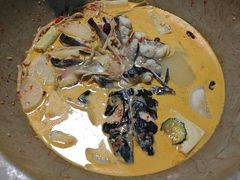 -云中鱼蒸汽石锅鱼(川沙百联店)