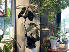 -弗劳尔花艺坊(龙涛店)