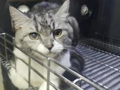 -PETKIT 小佩宠物·低压洗护·美容·寄养(安远店)