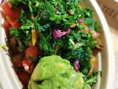 -油梨树AVOCADO TREE(嘉里中心店)