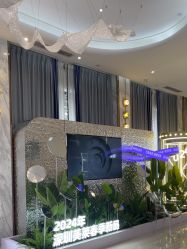 -深圳美莱医疗美容医院