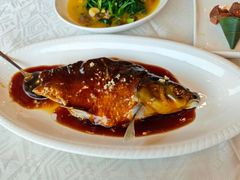 西湖醋鱼-楼外楼(西湖景区孤山路店)