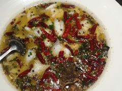 -九毛九西北菜(百信广场店)