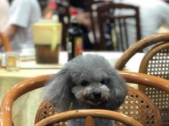 -标记美食新鲜猪杂(兴南大道店)