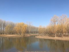 -东郊湿地公园