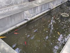 -万寿八仙宫