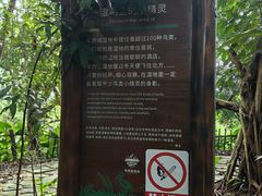 -华侨城湿地公园