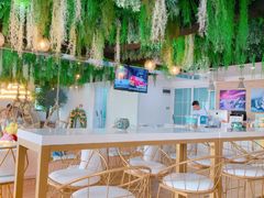 -Husky Go! 哈士奇体验馆·宠物咖啡厅狗咖