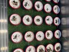 -火云天重庆火锅自助(中山路店)