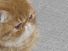-宠颐生中康贝怡动物医院